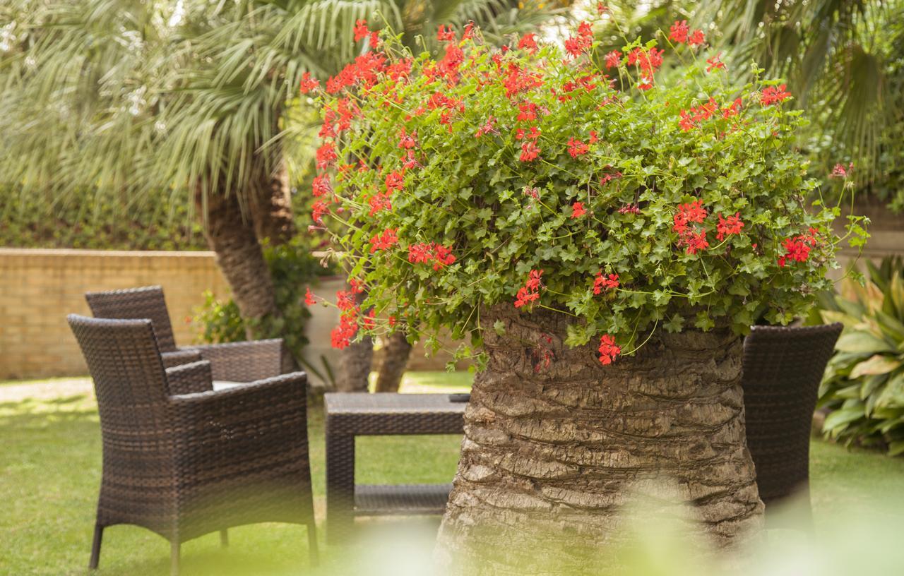 Residence Torre Del Mar Alba Adriatica Exterior photo